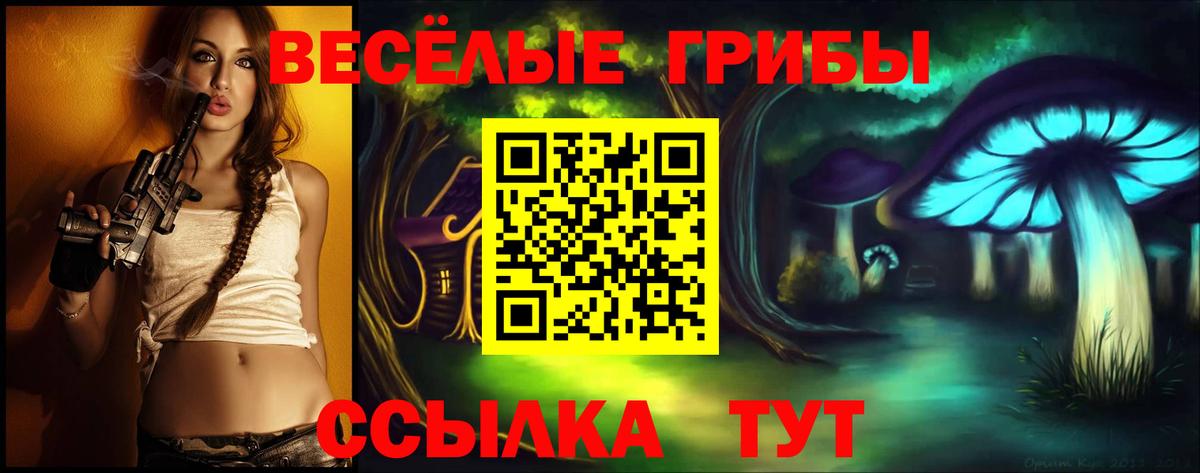 Галлюциногенные грибы Psilocybine cubensis  Вход с VPN  Галлюциногенные грибы Magic Shrooms  Павловский Посад 